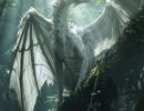dragons