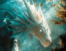 dragonhumans16